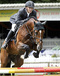 vincenzo_v.numero_uno_x_ekstein_with_denis_huser_at_the_young_horses_championships_2007_in_ermelo