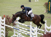 chellthago__chellano_x_carthago_and_caroline_mueller_at_the_international_show_in_geesteren_2.jpg