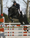 brentano_v.solitair_approved_stallion_italy_1.jpg